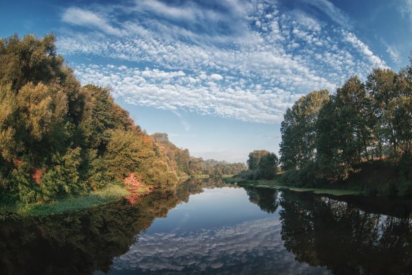 Река Десна Брянская