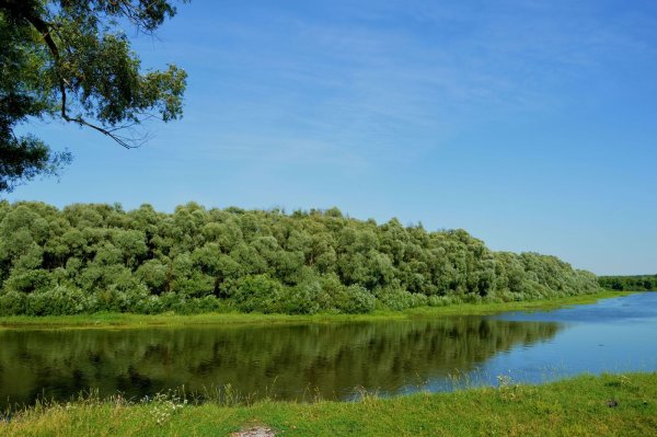 Река Десна Брянская область