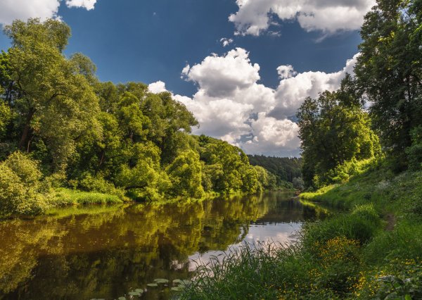 Река Пахра в Московской области