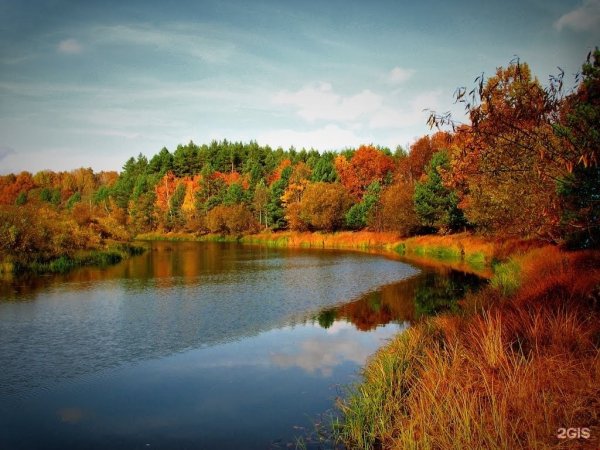 Река Ипуть Брянского края