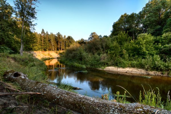 Река Снежеть Брянской области