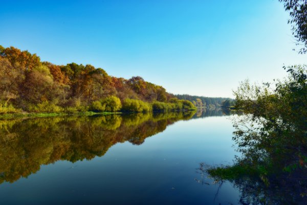 Река Ипуть Брянская область