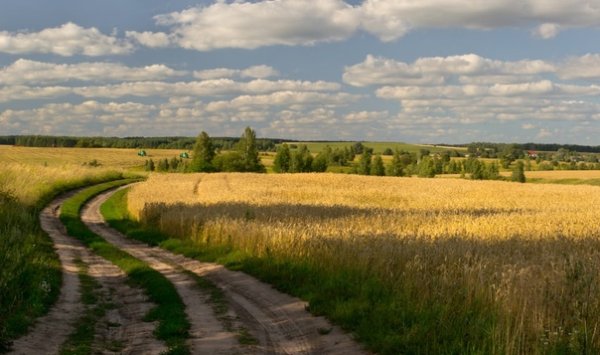 Природа Брянской области