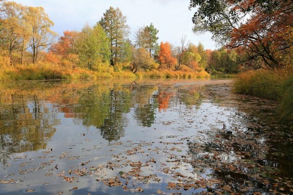 Удельные Уты Брянская область