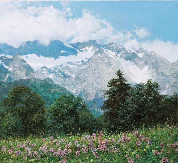 Павел Моисеевич Гречишкин (1922-2009)