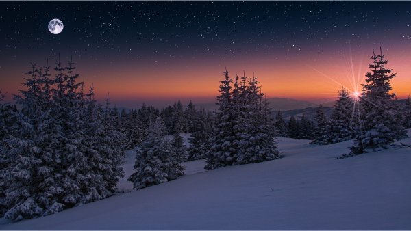 Зимний пейзаж ночью