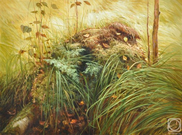 Аникин художник