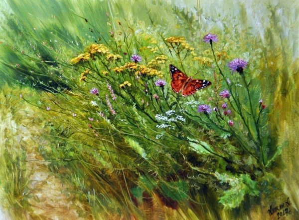 Художник Алексей Аникин полевые цветы