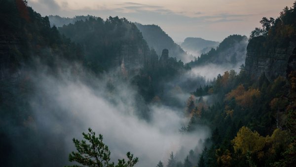 Национальный парк чешская Швейцария туман
