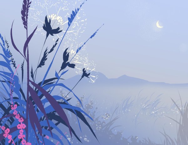 Полевые цветы арт Минимализм