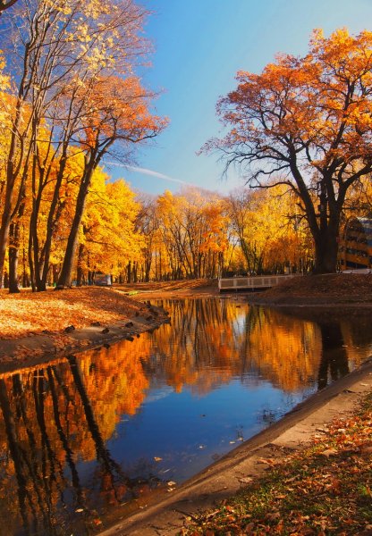 Природа осень