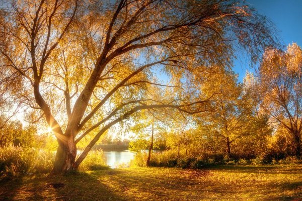 Осень глазами художника Афремова