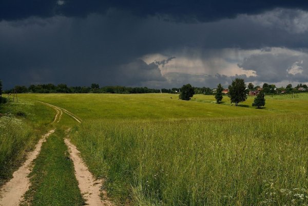 Среднерусская полоса России