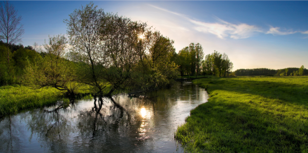 Природа средней полосы России
