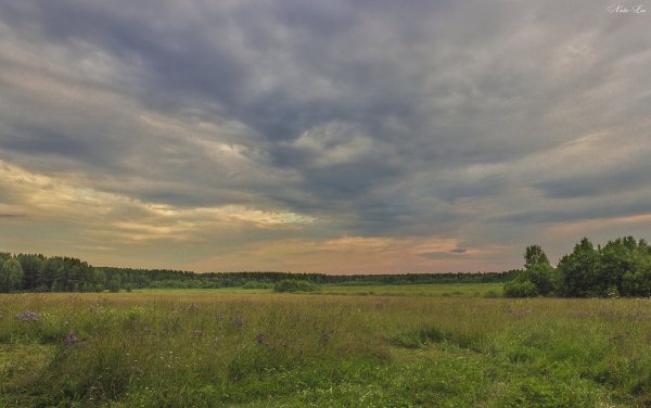 Среднерусская полоса России