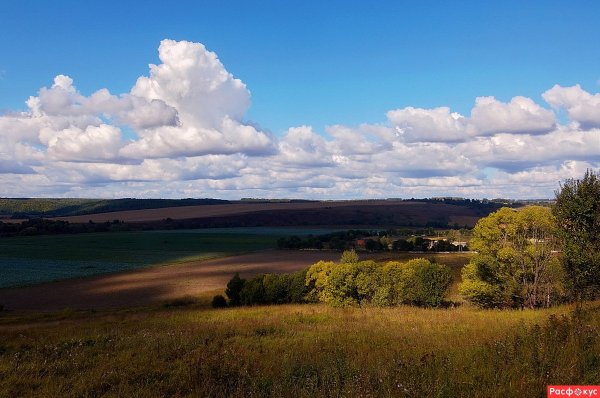 Природа средней полосы панорама