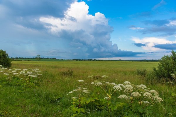 Екатерина Кокушкина фотограф