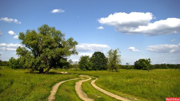 Среднерусский пейзаж