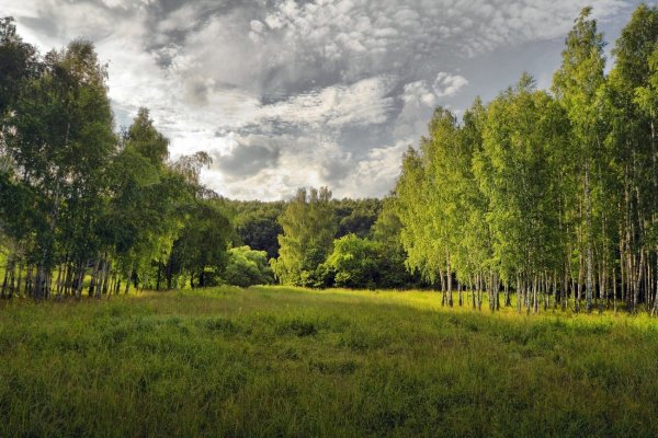 Центральное Черноземье природа