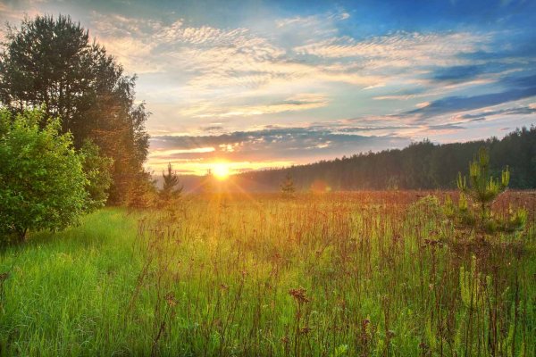 Природа деревня речка Березки