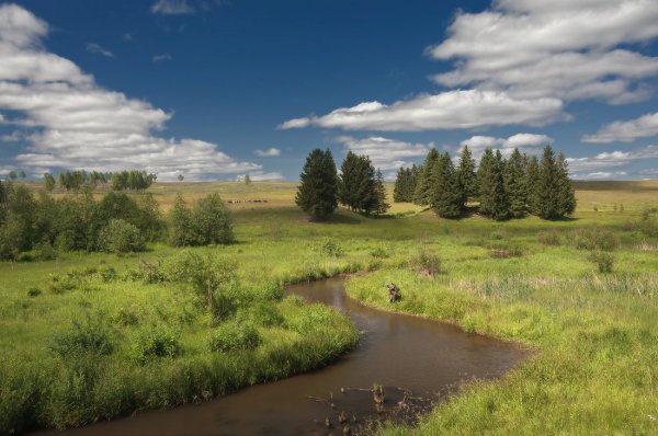 Луга Татарстана