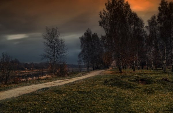 Осеннее ненастье