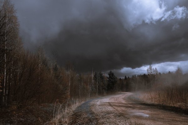 Хмурая осень