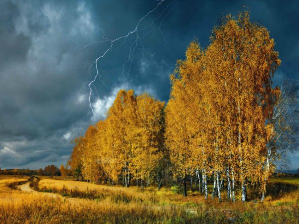 Осень гроза