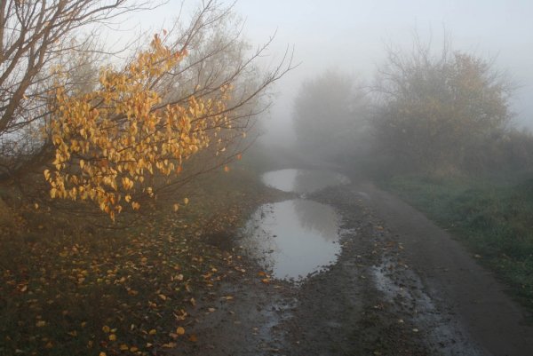 Дождливый ноябрь