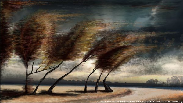 Пейзаж буря