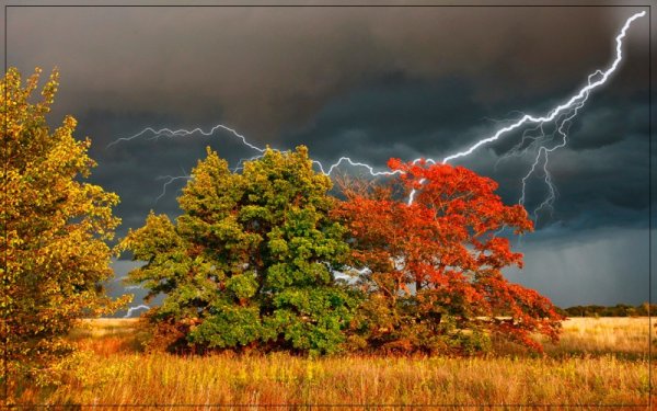 Осень непогода