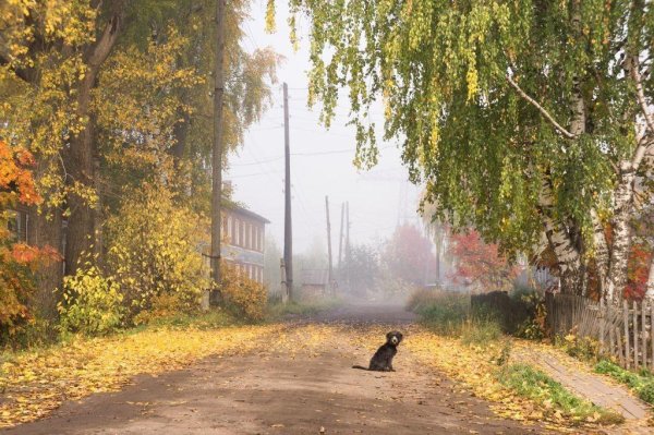 Осень в деревне