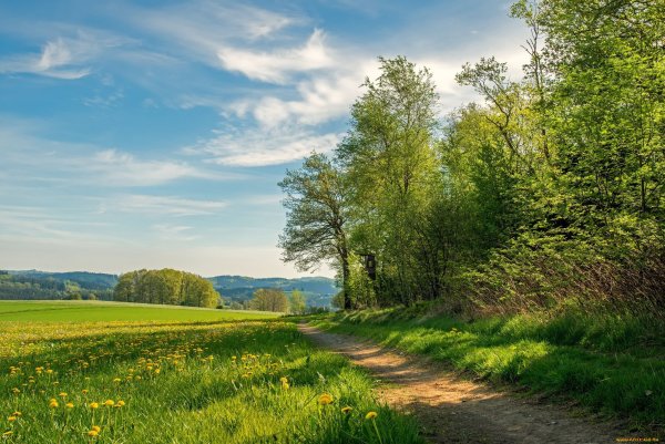 Саввич Никитин Русь