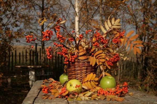 Вьюгова Римма Николаевна художник