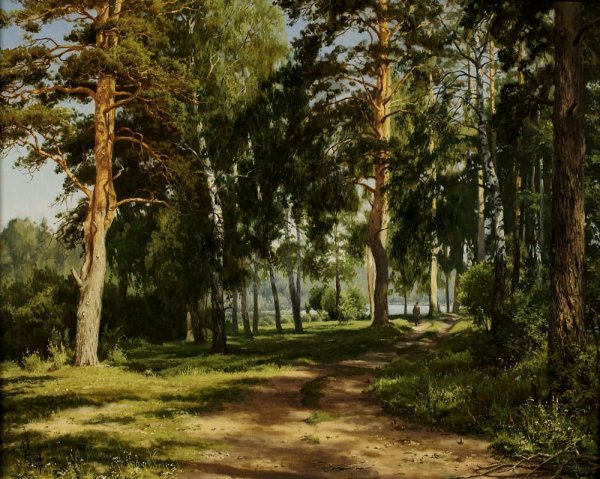 Художник-самоучка Сергей Басов.