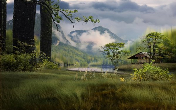 3д Графика природа