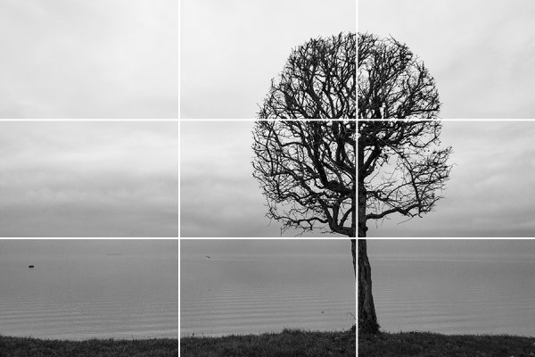 Пейзаж по правилу третей