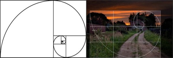 Принцип золотого сечения фото