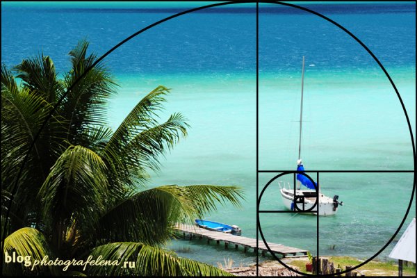 Золотое сечение пейзаж