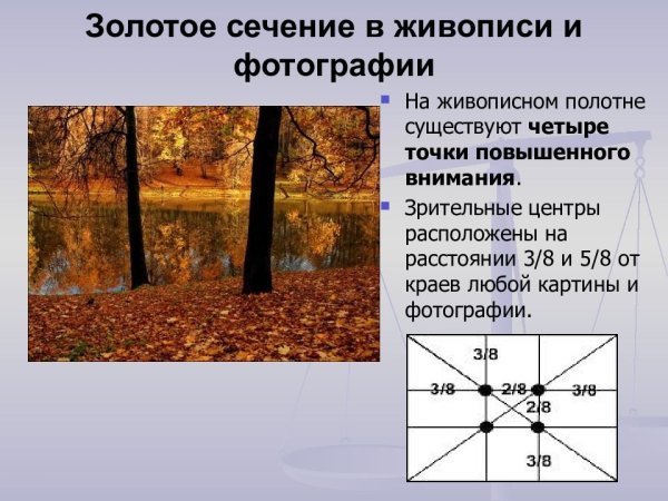 Золотое сечение