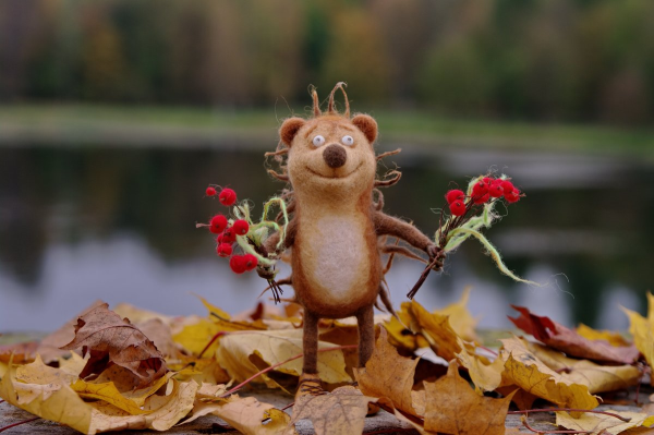 Осень радость