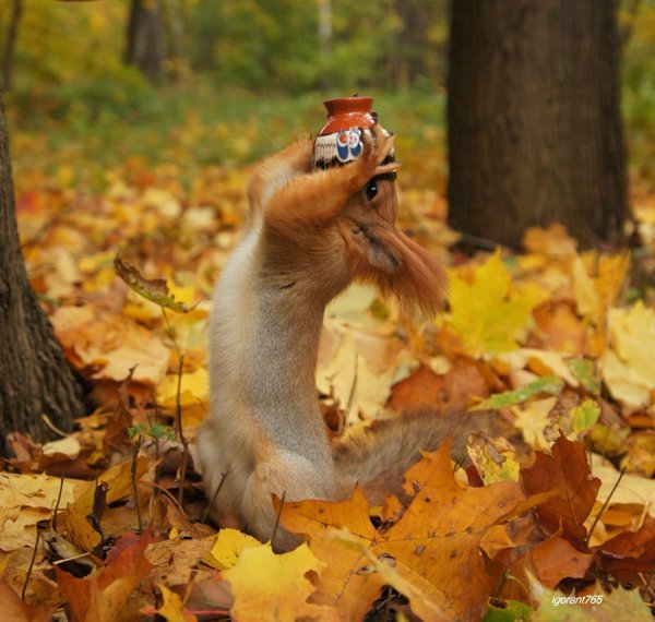 Художник - иллюстратор Мария Чернобровкина (Mariya Chernobrovkina)
