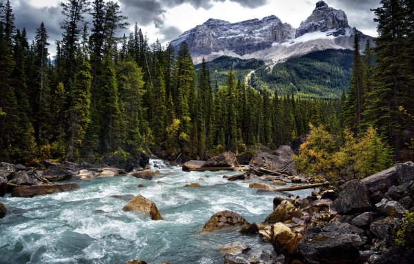 Природа горы лес река