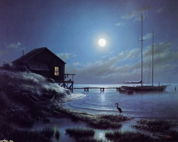 Лунная ночь на берегу