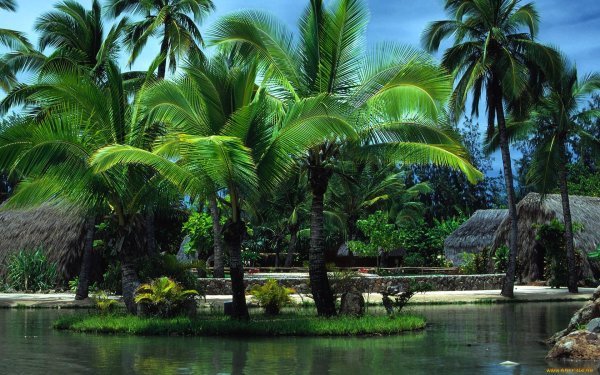 Остров Кауаи, Гавайские острова