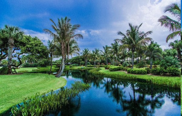 Природа тропиков