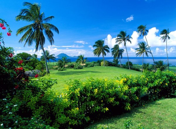 Сент-Китс и Невис природа