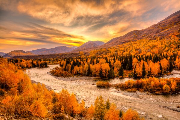 Осень лес горы