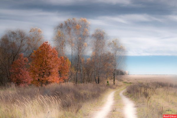 Осенний пейзаж ноябрь