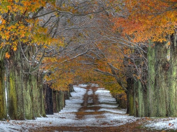 Фото поздней осени красивые